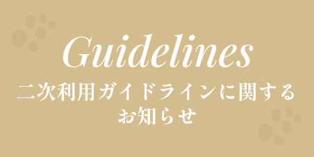 二次利用ガイドラインに関するお知らせ